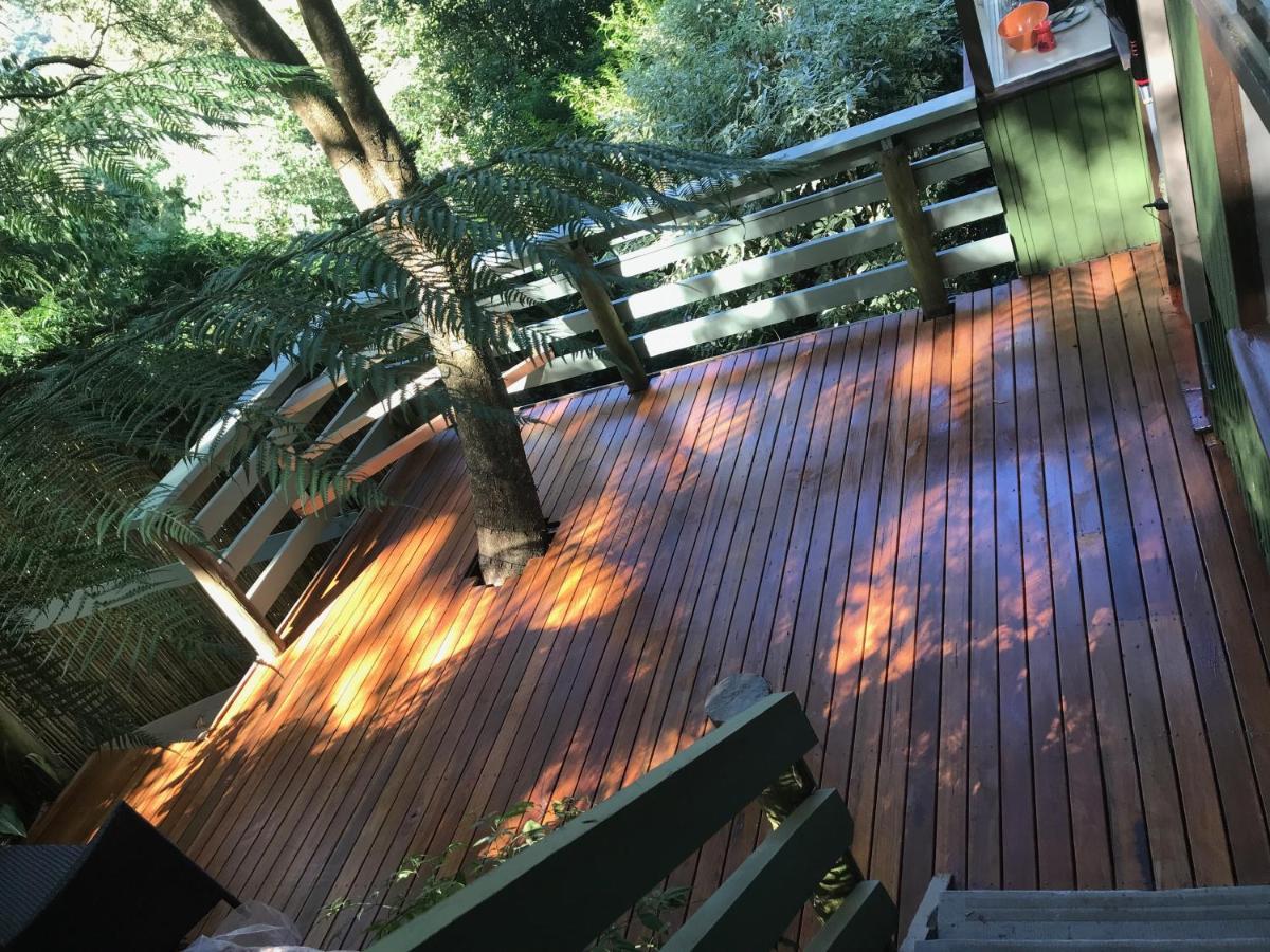 Sassafras Treehouse Private Home In The Dandenong Ranges, Victoria Exterior photo