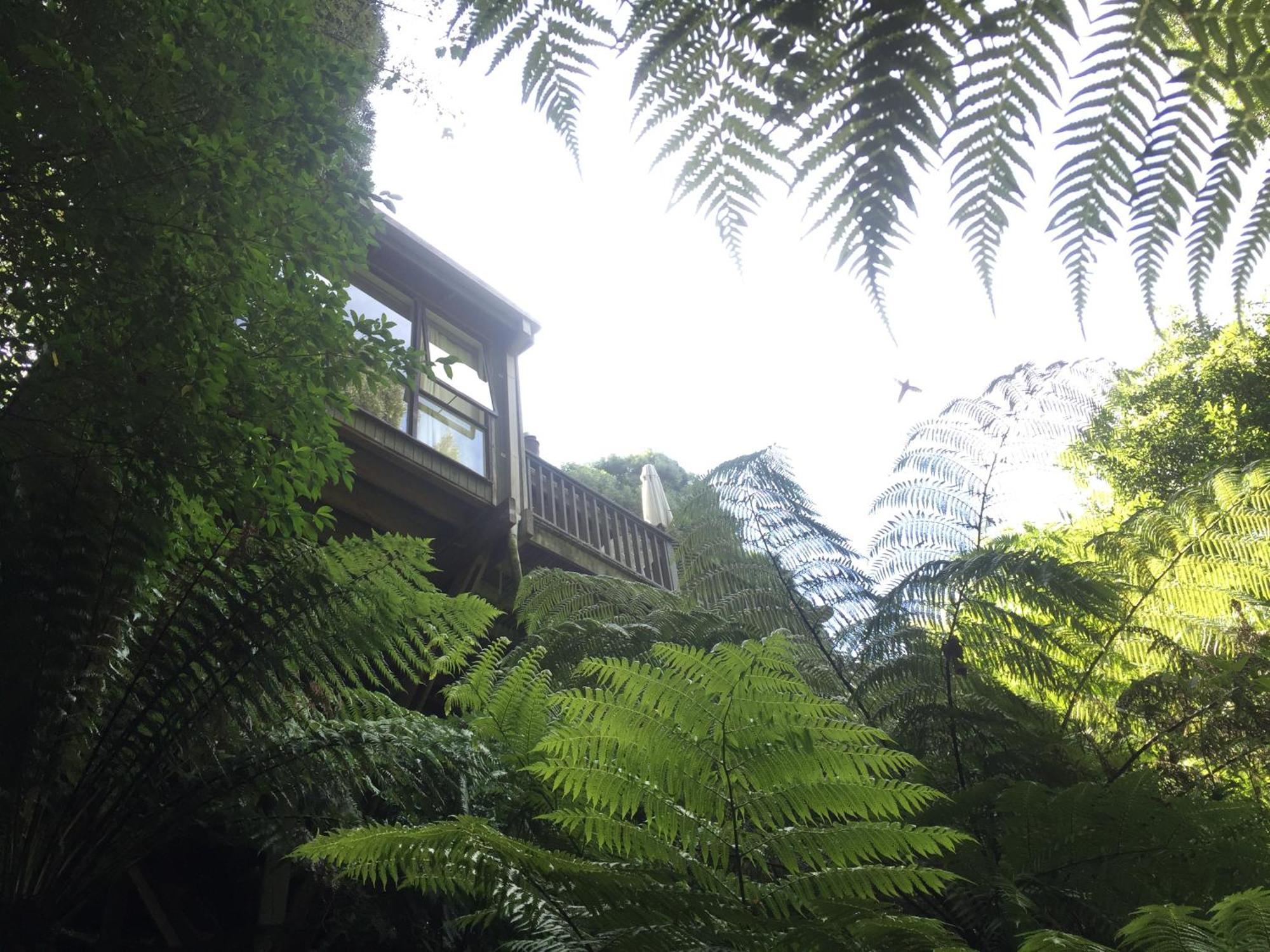 Sassafras Treehouse Private Home In The Dandenong Ranges, Victoria Exterior photo
