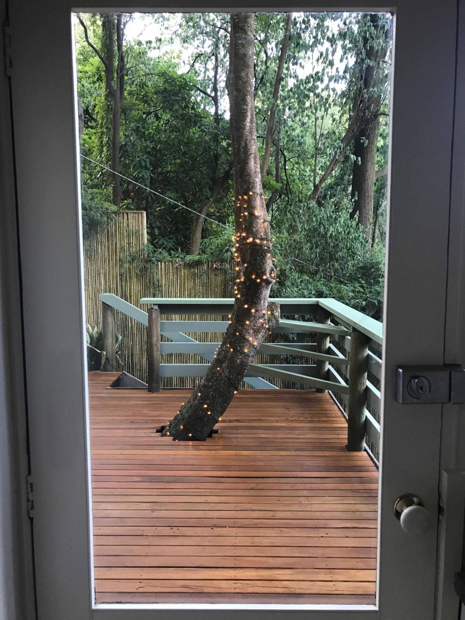 Sassafras Treehouse Private Home In The Dandenong Ranges, Victoria Exterior photo