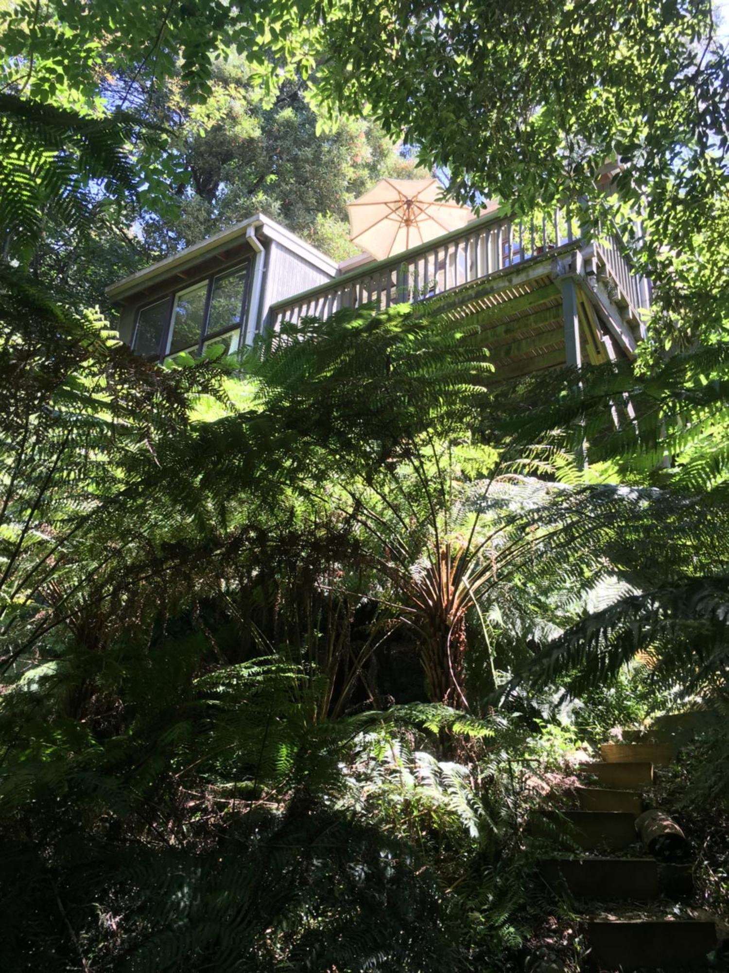 Sassafras Treehouse Private Home In The Dandenong Ranges, Victoria Exterior photo