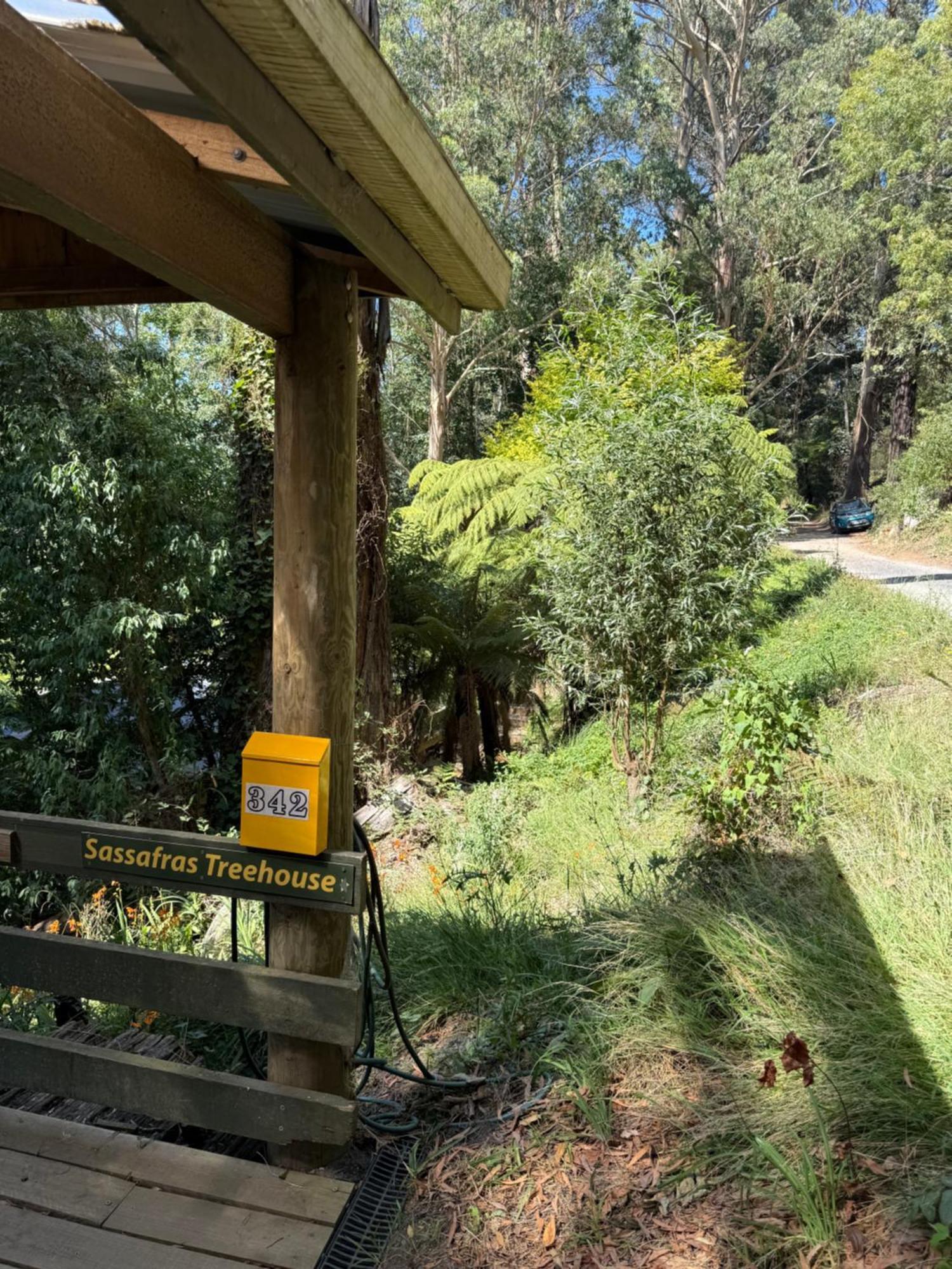 Sassafras Treehouse Private Home In The Dandenong Ranges, Victoria Exterior photo