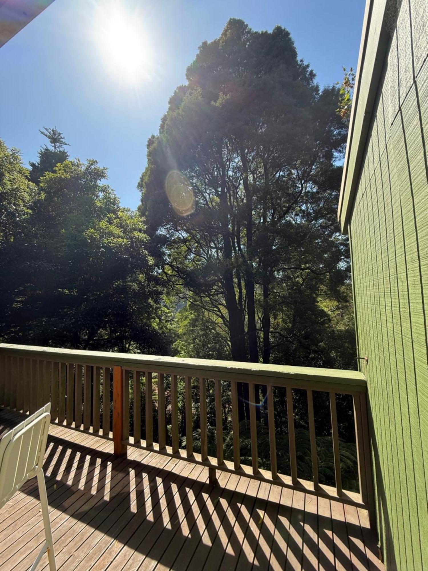 Sassafras Treehouse Private Home In The Dandenong Ranges, Victoria Exterior photo